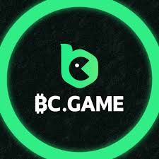 How to Successfully Complete Your BC.Game Register
