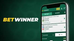 BetWinner Login Your Guide to Easy Access and Betting